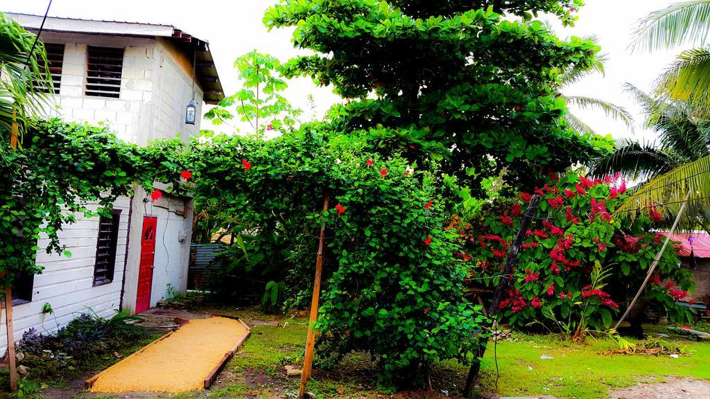 Orange Walk Casa Ricky'Sホステル エクステリア 写真