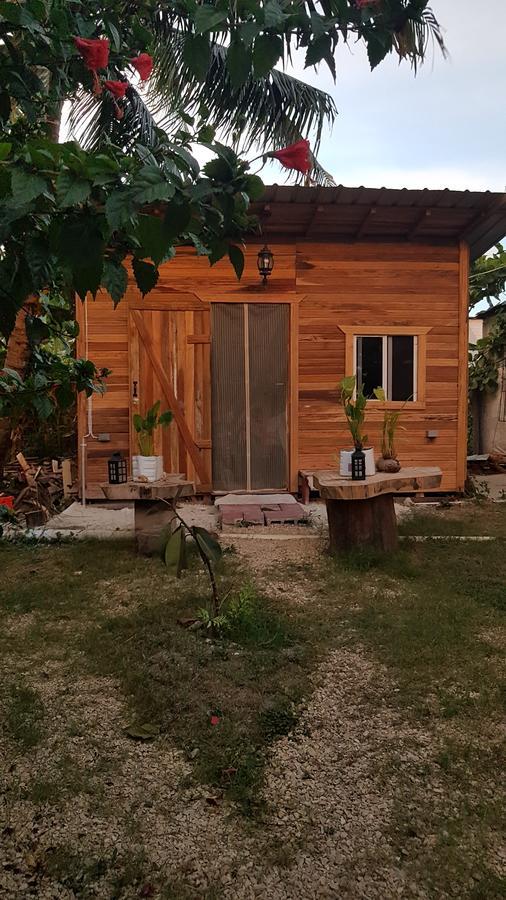 Orange Walk Casa Ricky'Sホステル エクステリア 写真
