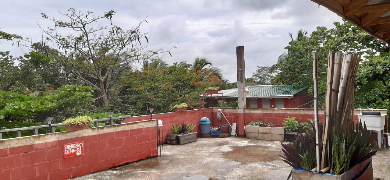 Orange Walk Casa Ricky'Sホステル エクステリア 写真