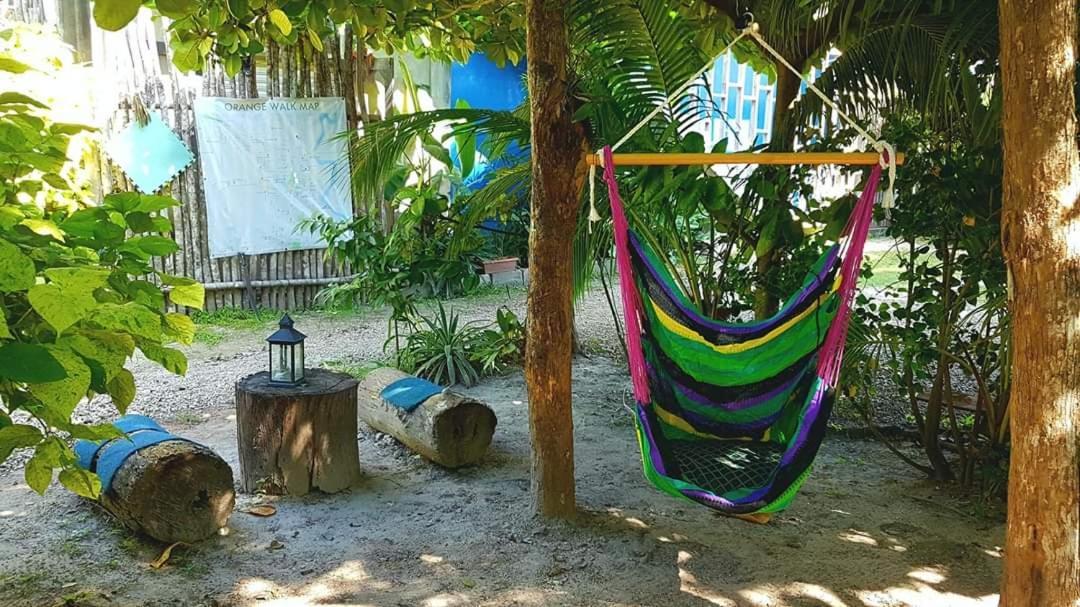 Orange Walk Casa Ricky'Sホステル エクステリア 写真