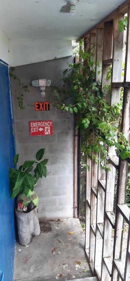 Orange Walk Casa Ricky'Sホステル エクステリア 写真